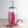 Kilner Fermenteringssæt -Leg & Spil Butik 15060 01