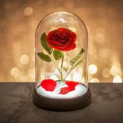 Skønheden Og Udyret Lampe