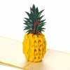 Pop Up-kort – Ananas 2 Pop Up-kort – Ananas -Leg & Spil Butik 18866 01